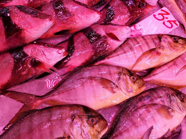 Chirurgie esthétique : transformez votre beauté en toute confiance